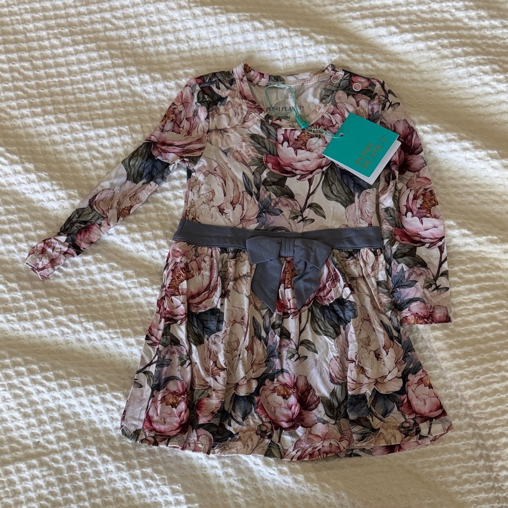 Posh Peanut Aster Print Long-Sleeve Dress with Gray Bow - Pink, Gray, Green